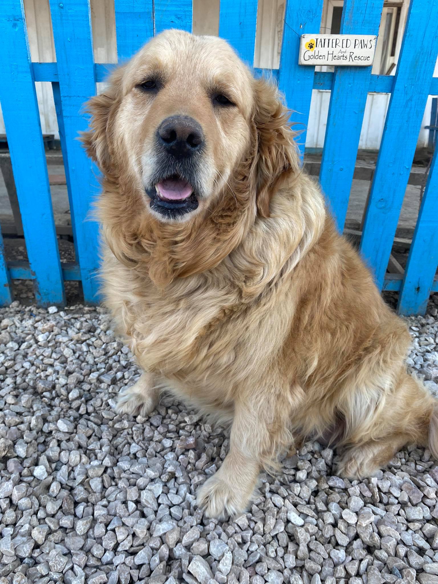 Baklava (fka Thelma)